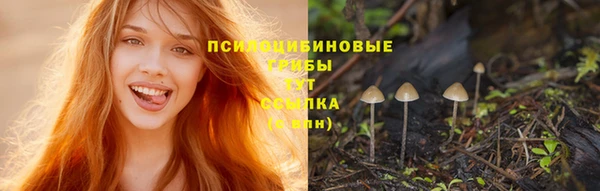 хмурый Абинск